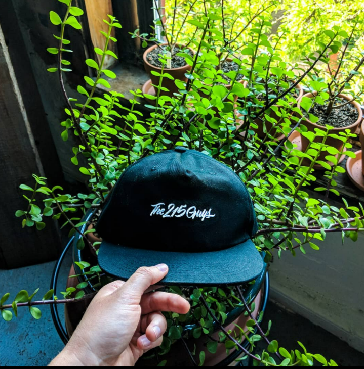 the 215 guys accessible websites