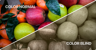 Color blindness explained through a photo showing same image but divided into two - Once it shows how a regular eye would see it and the other part is how a color blind person would see it