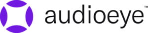 Audioeye Review