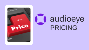 Review of Audioeye Pricing
