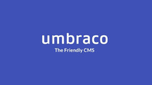 An Essential Guide to Umbraco Accessibility for Web Developers