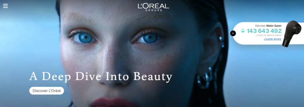 Loreal inaccessible website