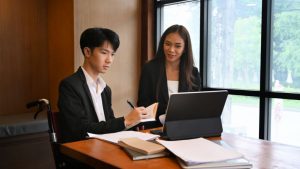 Accessibility Consultant