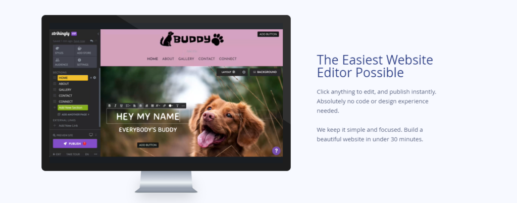 strikingly accessibility