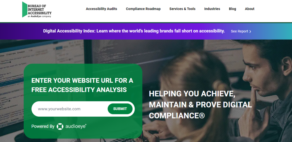bureau of internet accessibility website