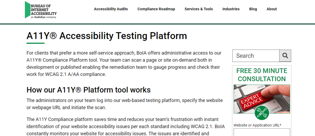 A11Y accessibility testing platform