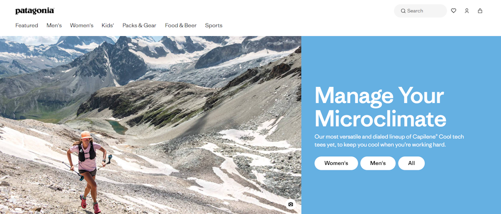 screenshot of the patagonia home page