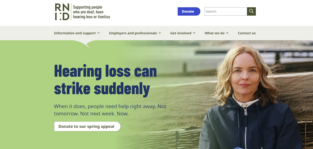 screenshot of the RNID home page